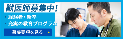 採用案内バナー