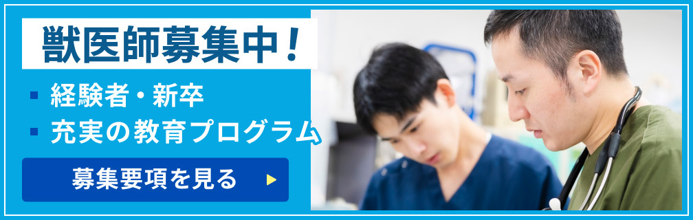 獣医師募集要項