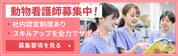 動物看護師募集要項