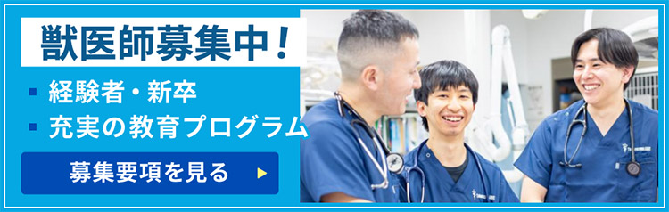 獣医師募集要項
